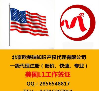 移民美国与L1签证相关的知识概要 欧美瑞办理知识产权代理的全面指南